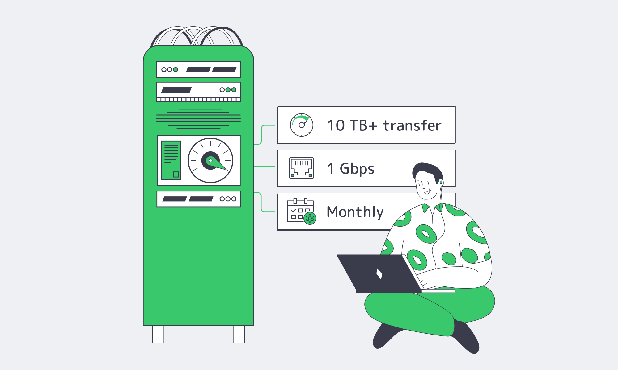 Server with 10 TB+ transfer gauge and 1 Gbps port badge