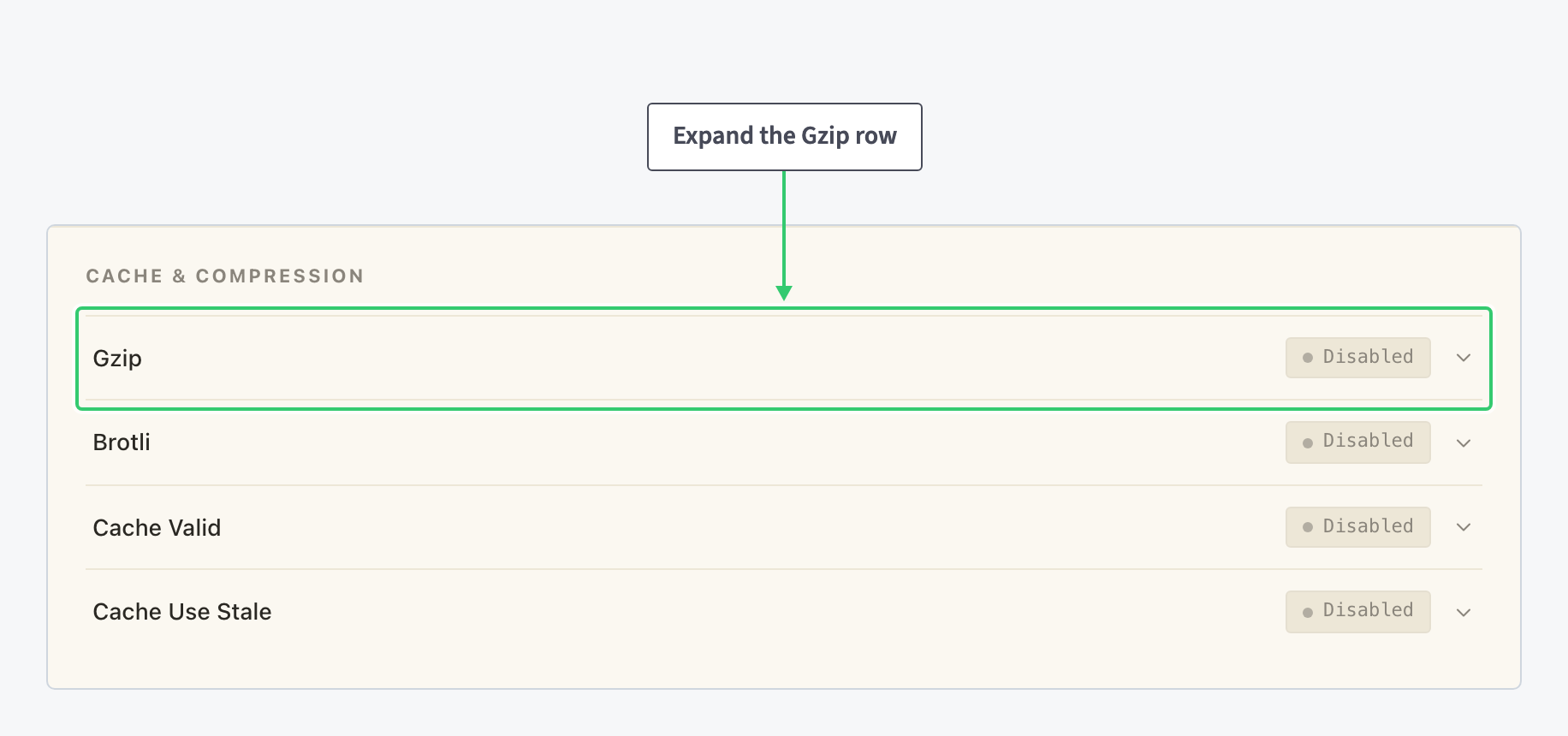 Cache and Compression section with the collapsed Gzip and Brotli rows