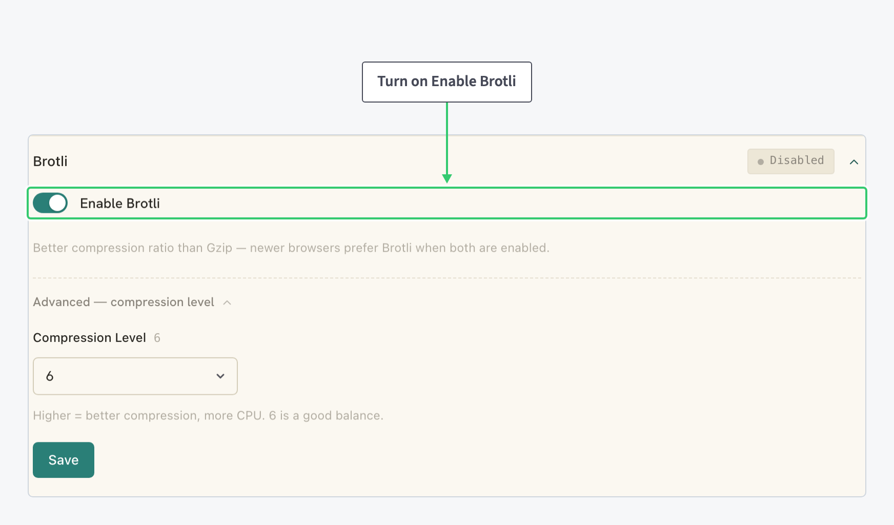 Expanded Brotli editor with its toggle and the advanced compression level select